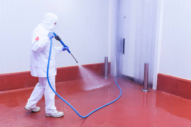 Best Dumpster Area Cleaning  in Ashland, PA